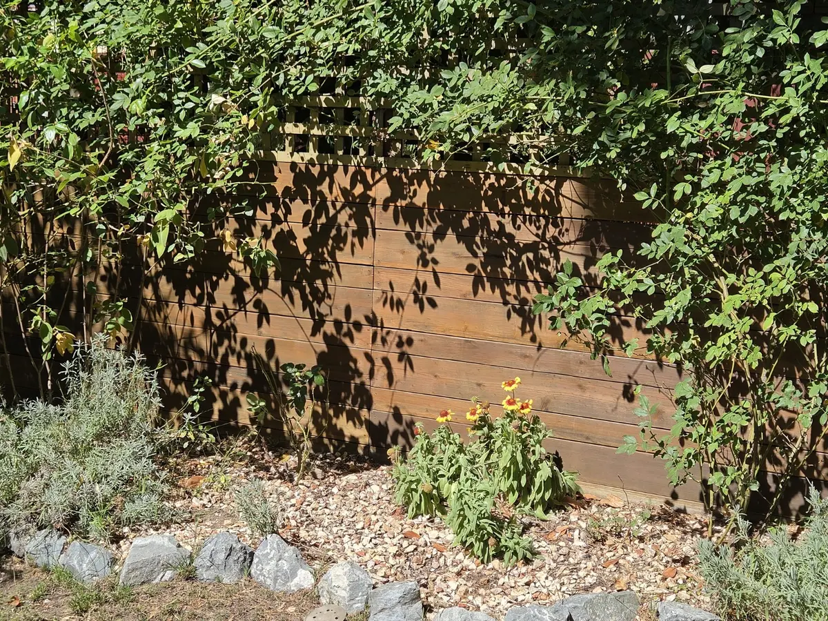 Close view showing the refreshed wood tone and even finish after fence staining