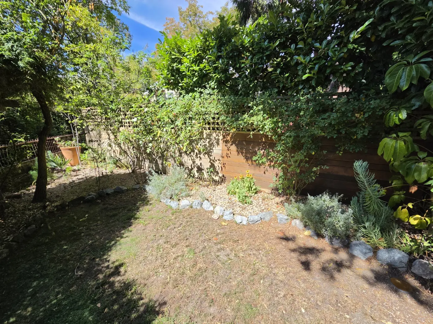 Wide view of the completed fence-staining project surrounded by mature garden plants