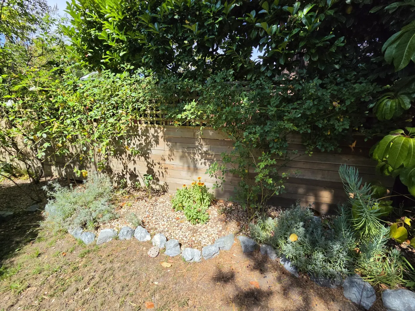 Finished semi-transparent stained wood fence beside a landscaped garden in San Mateo County
